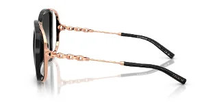 Coach Sunglasses HC8423U
