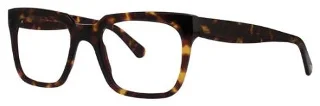 Tortoise