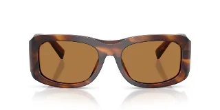 Dolce & Gabbana Sunglasses DG4503