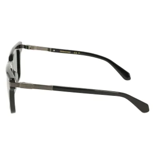 Salvatore Ferragamo Sunglasses SF2103S