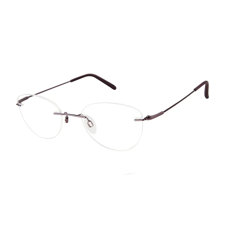 Charmant Eyeglasses 29232F