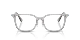 Swarovski Eyeglasses SK2041D
