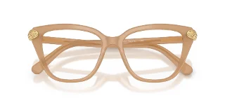 Swarovski Eyeglasses SK2045