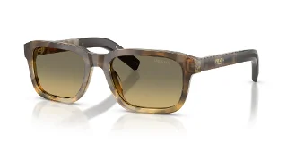 21P81B Oak Tortoise Gradient