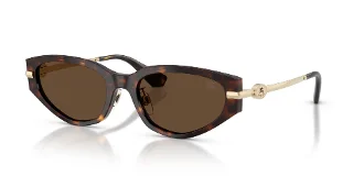 Burberry Sunglasses BE4493D