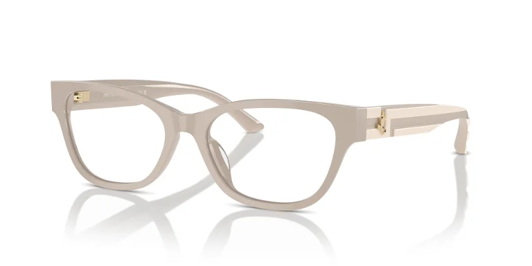 Jimmy Choo Eyeglasses JC3010U