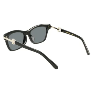 Salvatore Ferragamo Sunglasses SF2019SLB
