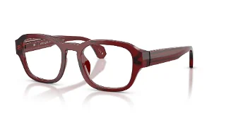 0927 Transparent Bourdeaux
