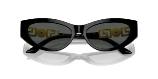 Versace Sunglasses VE4470B
