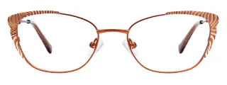 Easyclip Eyeglasses EC557