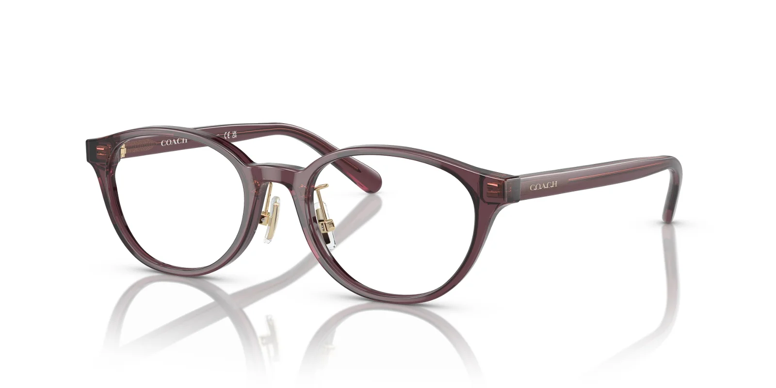Coach Eyeglasses HC6152D