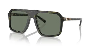 39433H Olive Tortoise