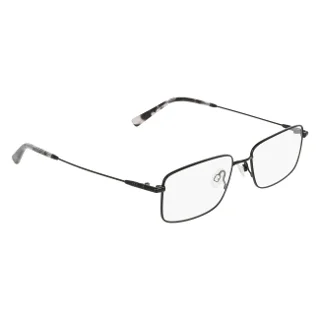 Flexon Eyeglasses H6096