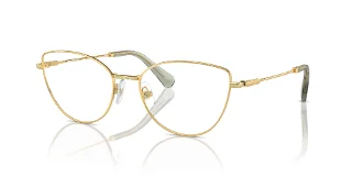 Swarovski Eyeglasses SK1012