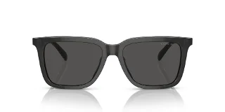Coach Sunglasses HC8385U