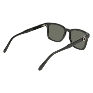Salvatore Ferragamo Sunglasses SF2086SE