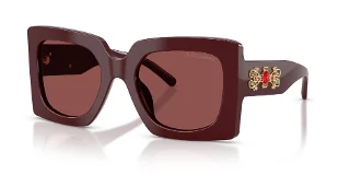 Dolce & Gabbana Sunglasses DG4525B