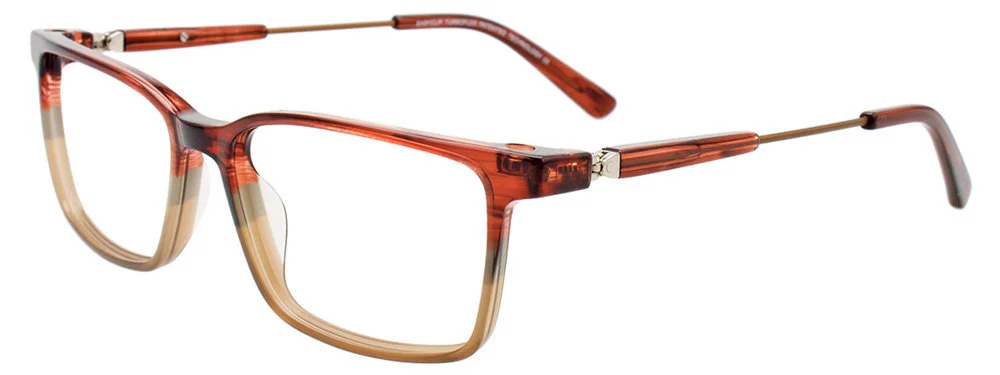 Easyclip Eyeglasses EC600