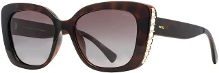 C02 Tortoise