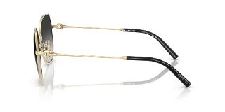Coach Sunglasses HC7175
