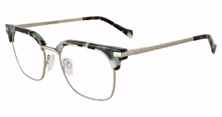 Silver (583C)