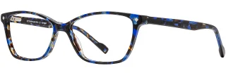 C04 Cobalt Tortoise