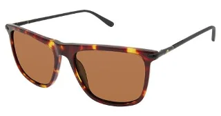 Champion Sunglasses VEGX