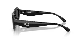 Coach Sunglasses HC8433U