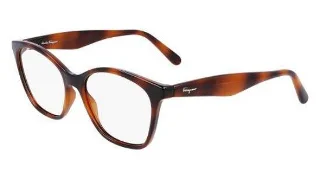 214 Tortoise