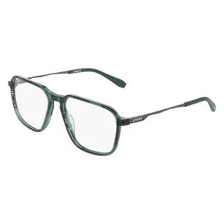 303 Green Tortoise