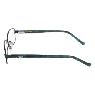 Dkny Eyeglasses DK3009