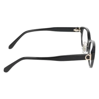 Salvatore Ferragamo Eyeglasses SF3070LB