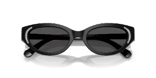 Swarovski Sunglasses SK6030F