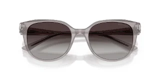 Jimmy Choo Sunglasses JC5057D