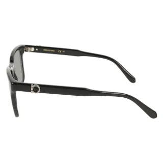 Salvatore Ferragamo Sunglasses SF2086SE