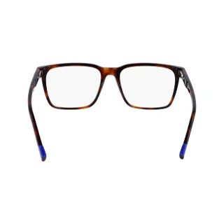 Zeiss Eyeglasses ZS23533