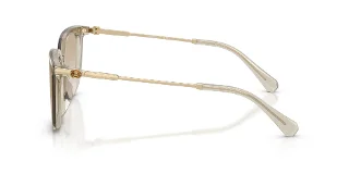 Swarovski Sunglasses SK6054D