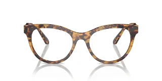 Swarovski Eyeglasses SK2025