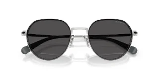 Coach Sunglasses HC7179