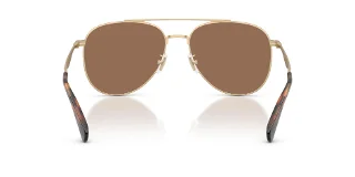 Coach Sunglasses HC7190