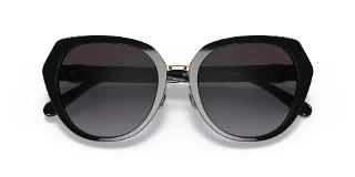 Coach Sunglasses HC8331