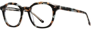 C02 Sand Sky Tortoise