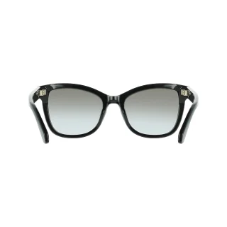 Salvatore Ferragamo Sunglasses SF2108S