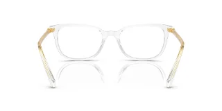 Swarovski Eyeglasses SK2003