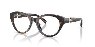 1981 Brown Tortoise