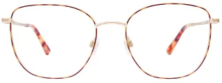 Easyclip Eyeglasses EC643
