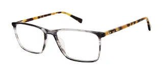 Ted Baker Eyeglasses TFM015