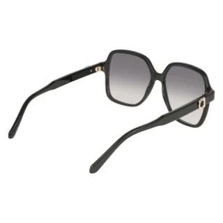 Salvatore Ferragamo Sunglasses SF2069SE