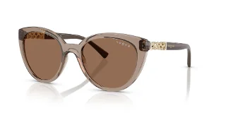 294073 Transparent Brown