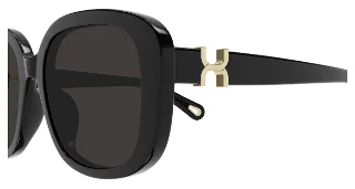 Chloe Sunglasses CH0303SK